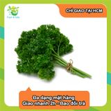  [Chỉ Giao HCM] Ngò Tây - 200g 