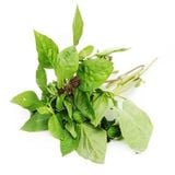  [Chỉ Giao HCM] Húng Quế - 100g 