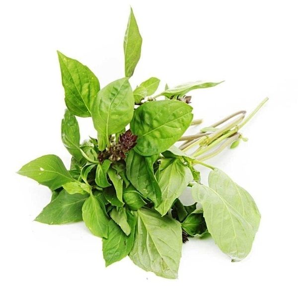Húng quế - 100g