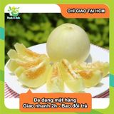  [Chỉ Giao HCM] Dưa Lê - 1kg 
