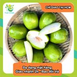  [Chỉ Giao HCM] Táo Xanh Ninh Thuận - 1kg 