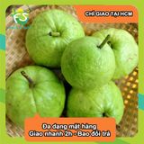  [Chỉ Giao HCM] Ổi Đài Loan Có Hạt - 1kg 