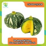  [Chỉ Giao HCM] Bí Đỏ giống Nhật - 1kg 