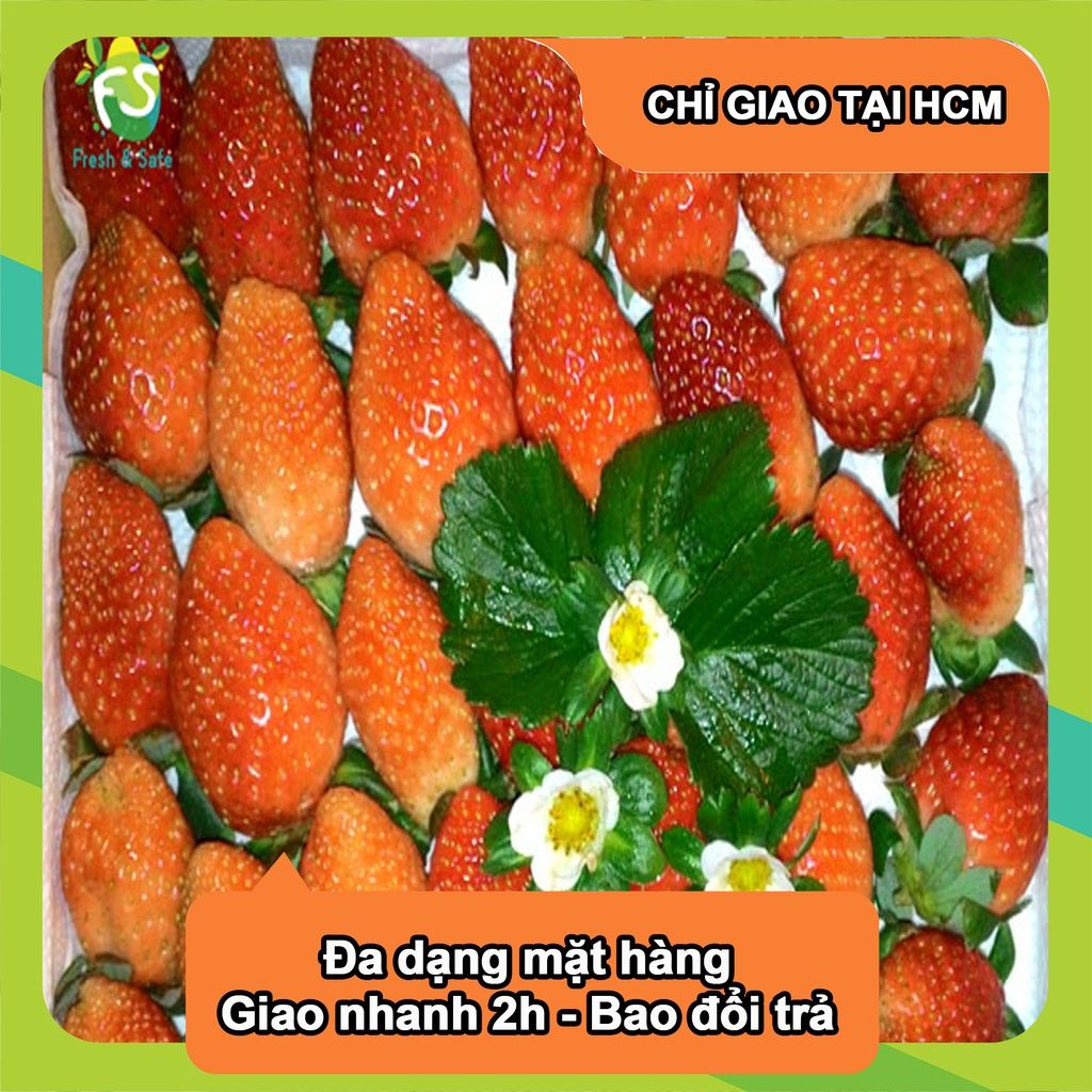  [Chỉ Giao HCM] Dâu Tây giống New Zealand - hộp  500g 