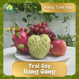  Trái Cây Cúng - Combo NGŨ PHÚC 3 (Hàng tươi đẹp) 