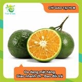  [Chỉ Giao HCM] Cam Sành 