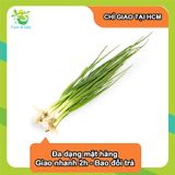  [Chỉ Giao HCM] Hành Lá - 100g 