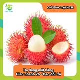  [Chỉ Giao HCM] Chôm Chôm Thường - 500g 