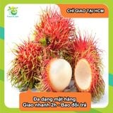  [Chỉ Giao HCM] Chôm Chôm Thường - 500g 