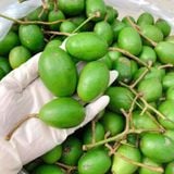  [Chỉ Giao HCM] Cóc Non 