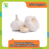  [Chỉ Giao HCM] Tỏi Củ - 200g 