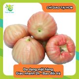  [Chỉ Giao HCM] Mận Đá - 1kg 