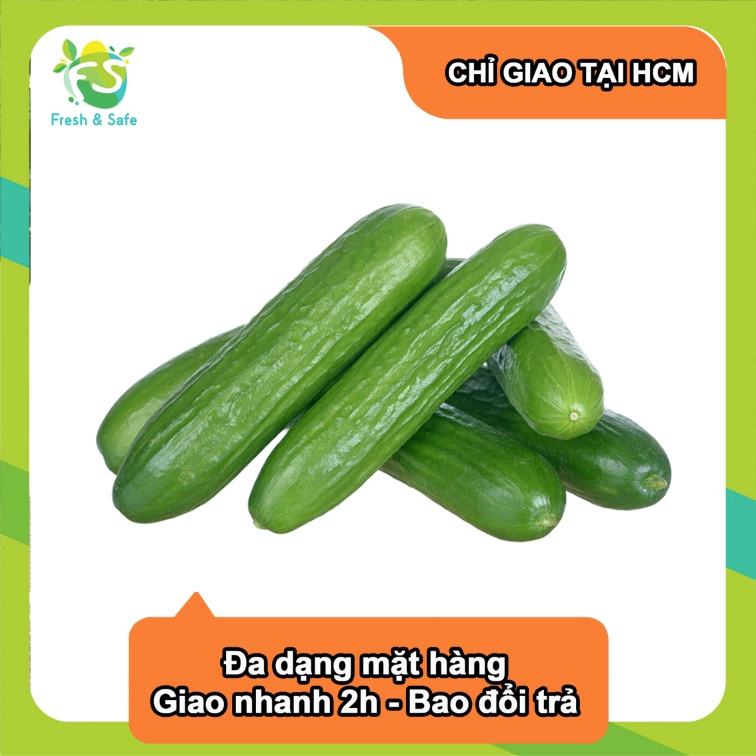  [Chỉ Giao HCM] Dưa leo baby 