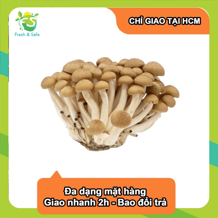 [Chỉ Giao HCM] Nấm linh chi nâu - 125g 