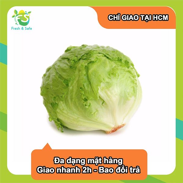  [Chỉ Giao HCM] Xà Lách Iceberg 