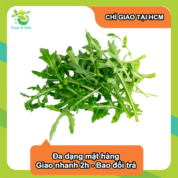  [Chỉ Giao HCM] Xà lách Rocket 