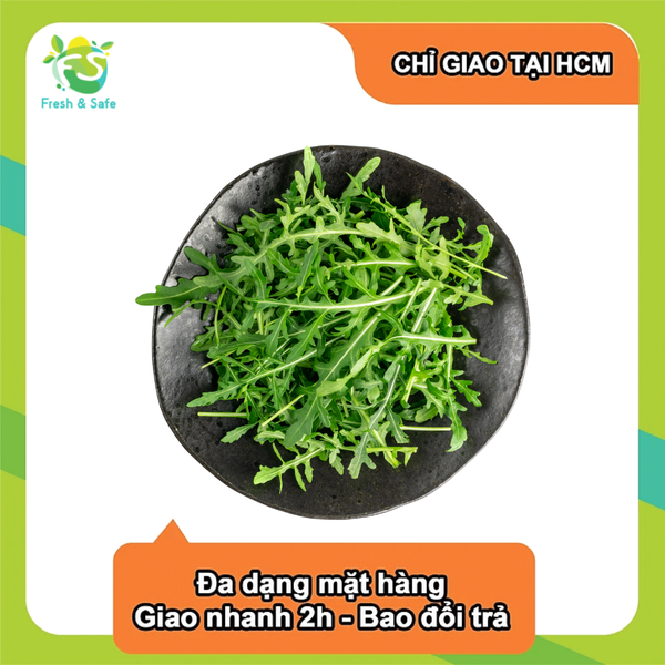  [Chỉ Giao HCM] Xà lách Rocket 