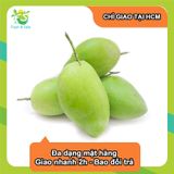  [Chỉ Giao HCM] Xoài xanh keo 