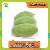  [Chỉ Giao HCM] Xoài xanh Đài Loan - 1kg 