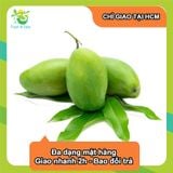  [Chỉ Giao HCM] Xoài xanh Tứ Quý - 1kg 