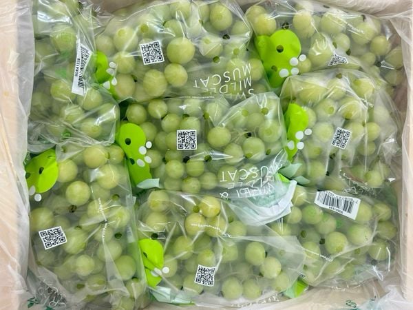  [Chỉ Giao HCM] Nho xanh không hạt Mỹ - 500g 