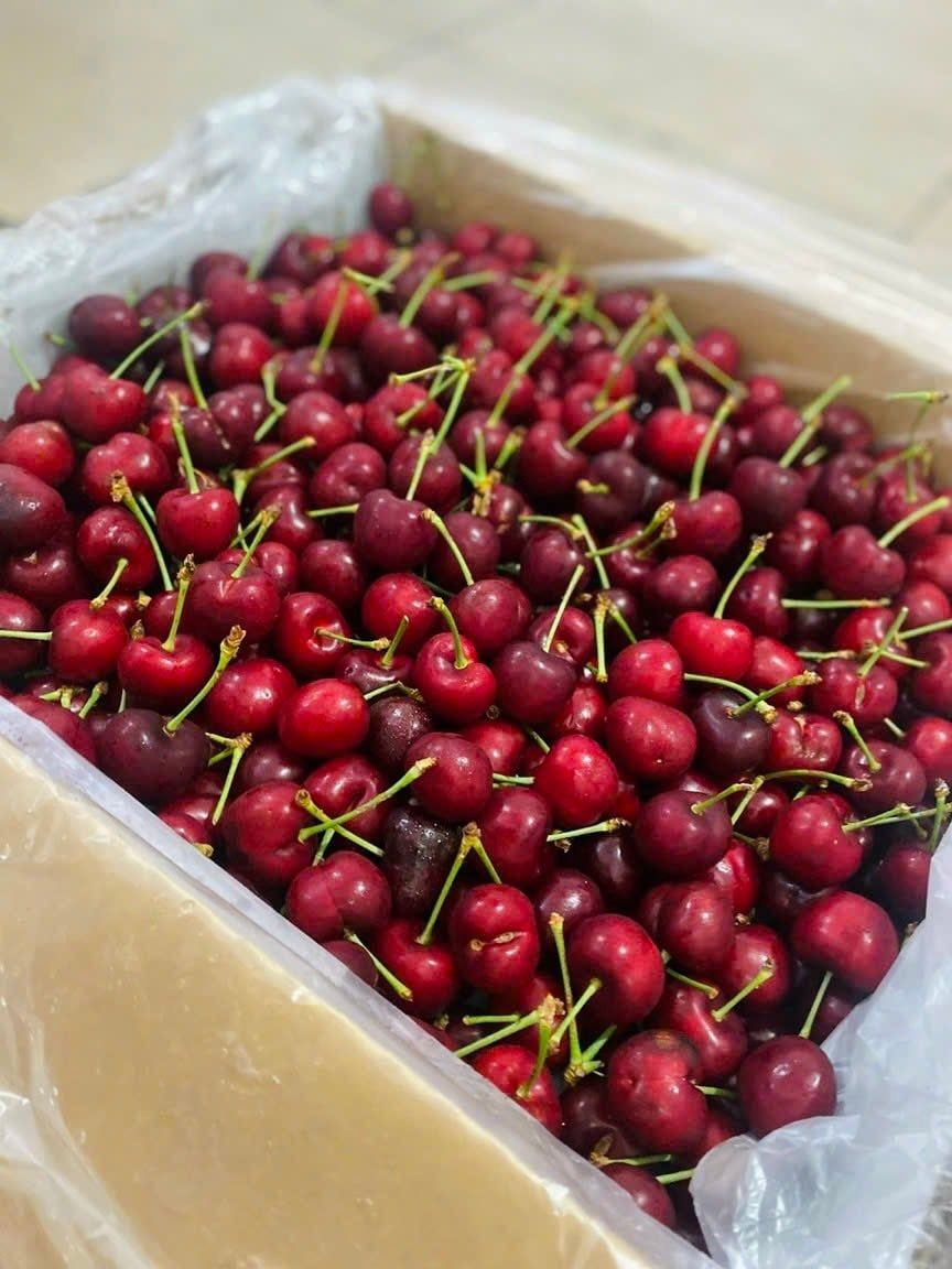  [Chỉ Giao HCM] Cherry Mỹ size 9.5 - 500g 