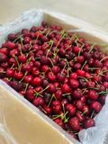  [Chỉ Giao HCM] Cherry Mỹ size 9.5 - 250g 