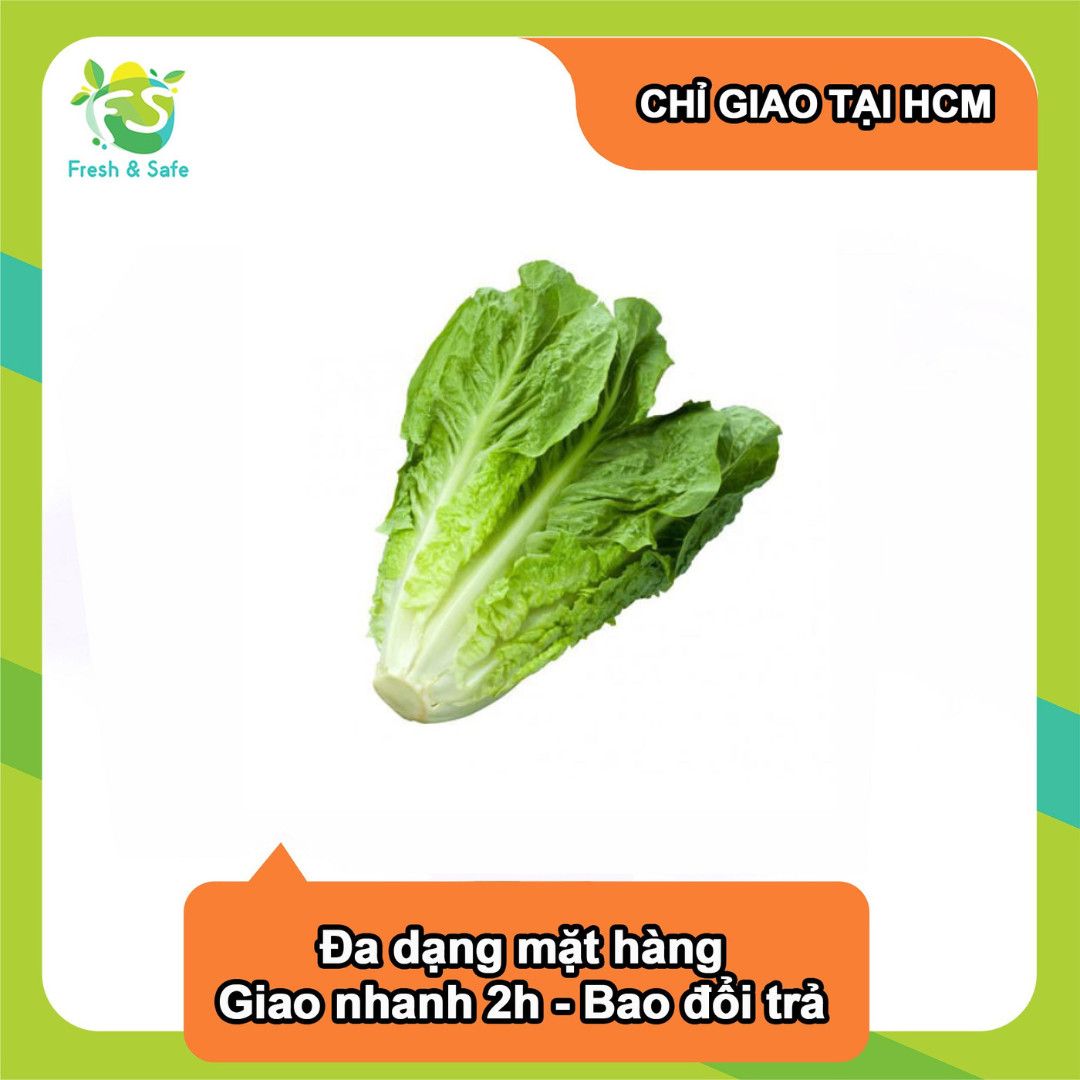  [Chỉ Giao HCM] Xà lách Romaine - 200g 