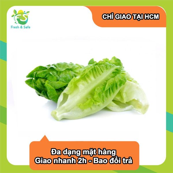  [Chỉ Giao HCM] Xà lách Romaine 