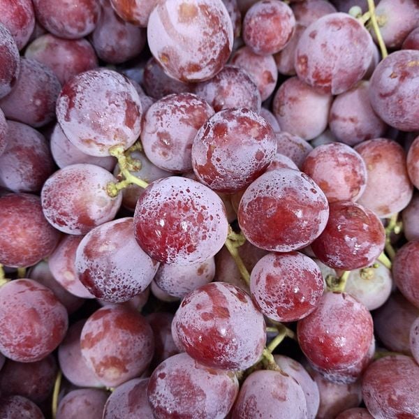  [Chỉ Giao HCM] Nho đỏ Nhập Khẩu (Trái To) - 500gr 