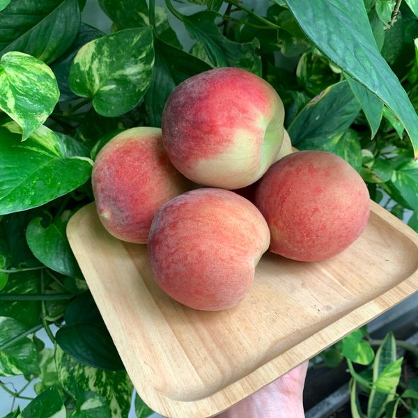  [Chỉ Giao HCM] Đào lông - 1kg 