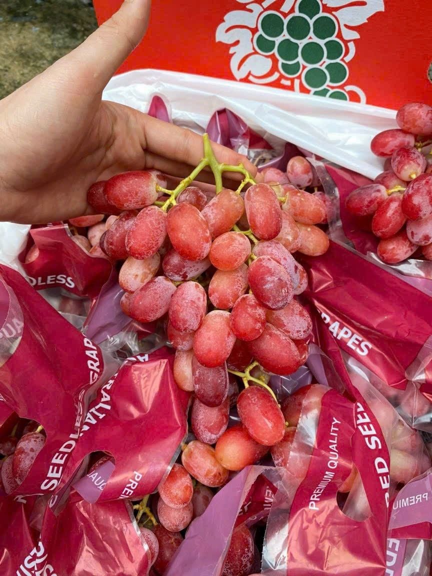  [Chỉ Giao HCM] Nho đỏ không hạt Úc - 500g 