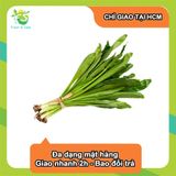  [Chỉ Giao HCM] Ngò gai 