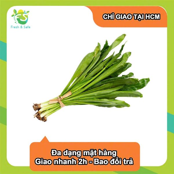  [Chỉ Giao HCM] Ngò gai 