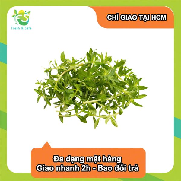  [Chỉ Giao HCM] Ngò om - 50g 