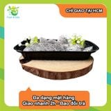  [Chỉ Giao HCM] Hôp Thanh long trắng - 500g 