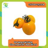  [Chỉ Giao HCM] Cà chua bi vàng - 200g 