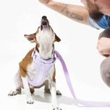  Gói Phụ Kiện Yếm Dắt Lilac 