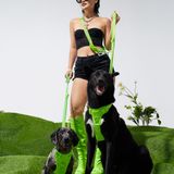  Dây Đeo Có Thể Điều Chỉnh ULTRA - LIMELIGHT 