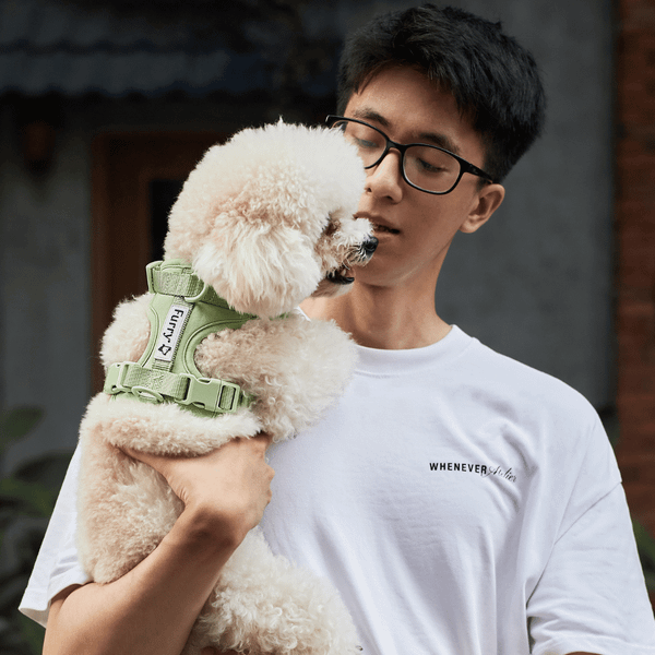  Yếm Dắt Tiện Lợi Matcha Latte 