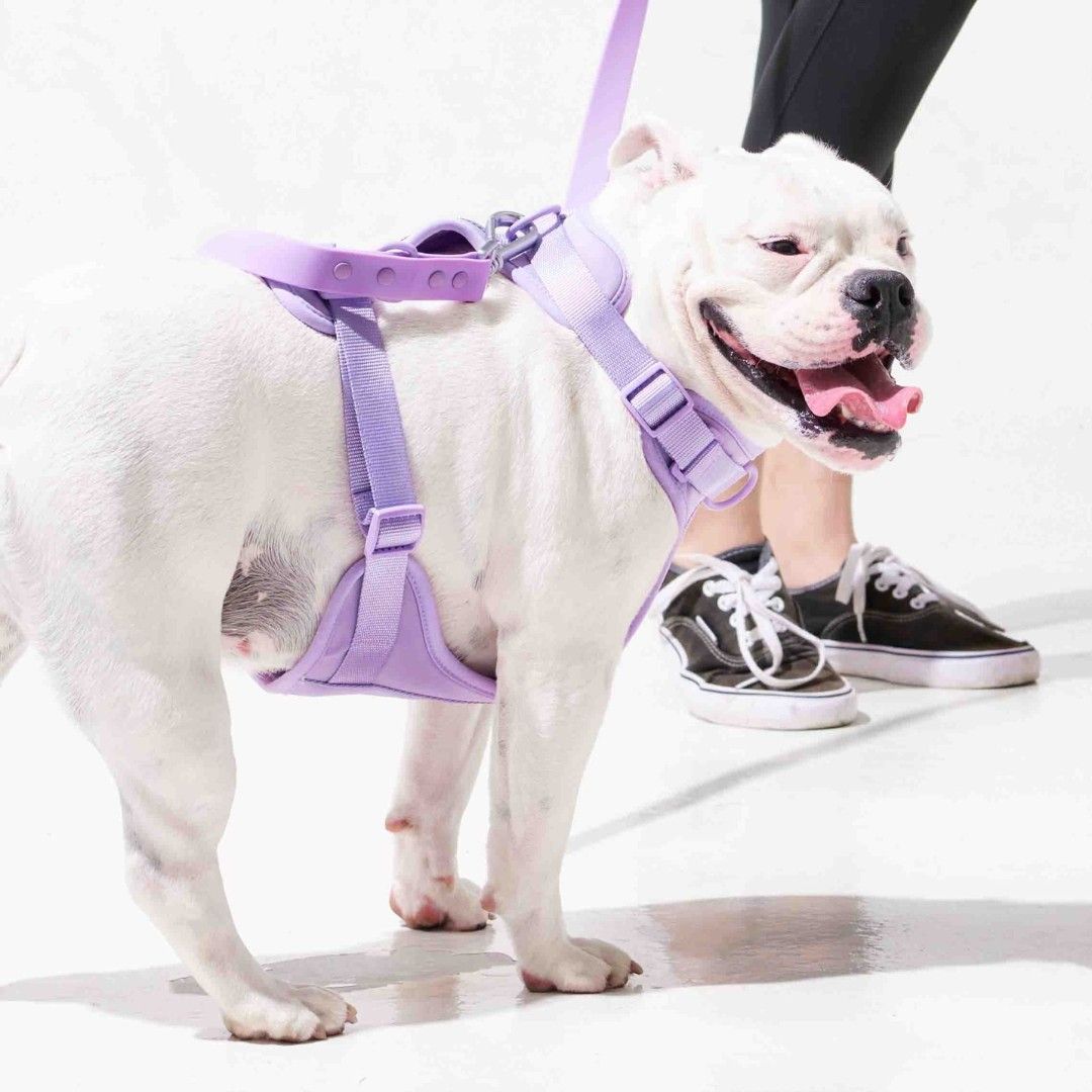  Yếm Dắt Tiện Lợi Lilac 