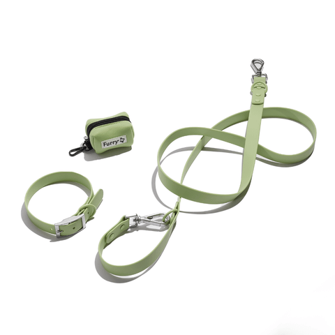 Collar Walk Set