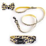  Combo Vòng Cổ , Dây Dắt Và Nơ Sunny Side Up 