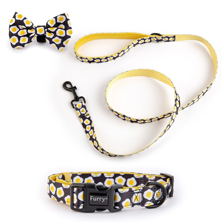  Combo Vòng Cổ , Dây Dắt Và Nơ Sunny Side Up 