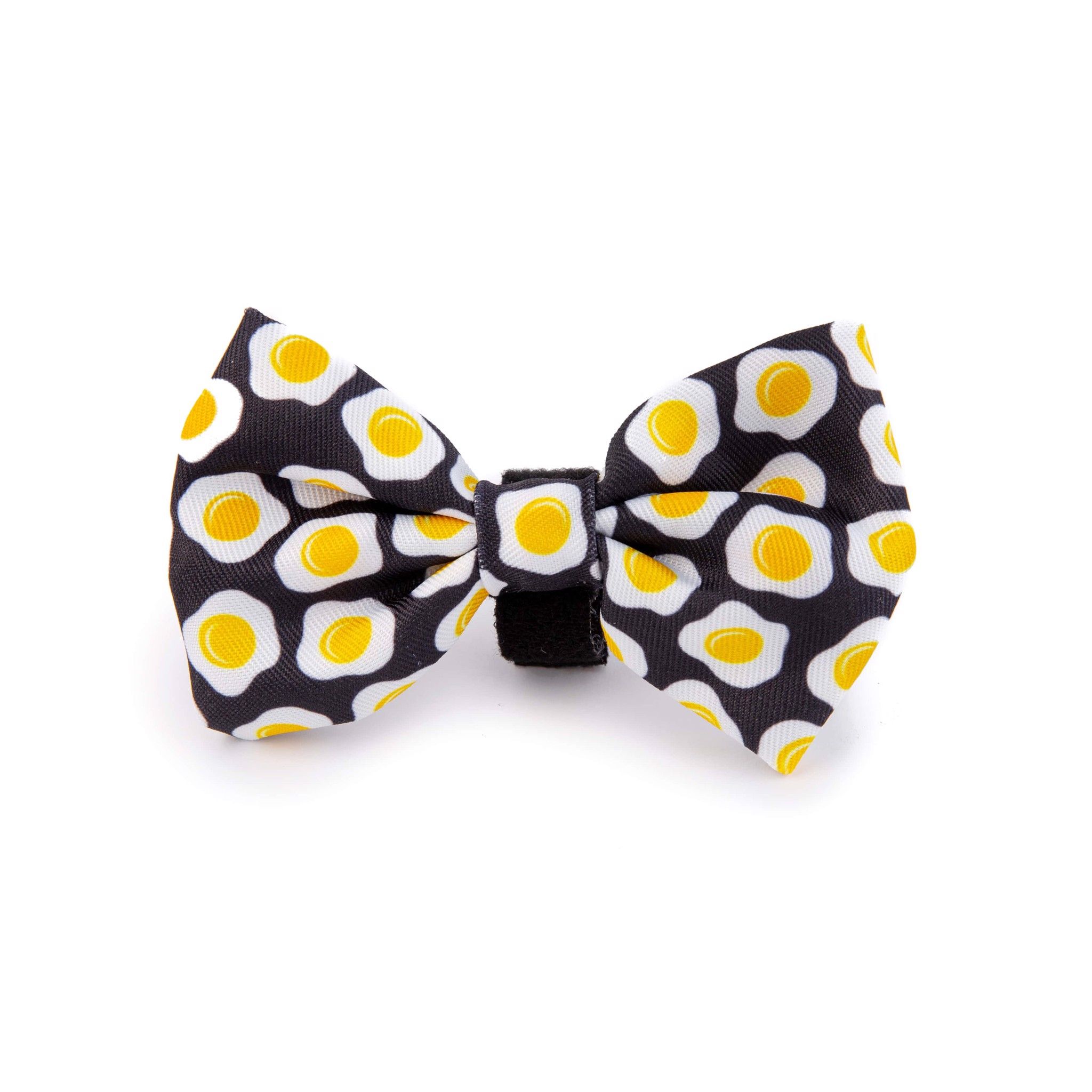  Combo Vòng Cổ , Dây Dắt Và Nơ Sunny Side Up 