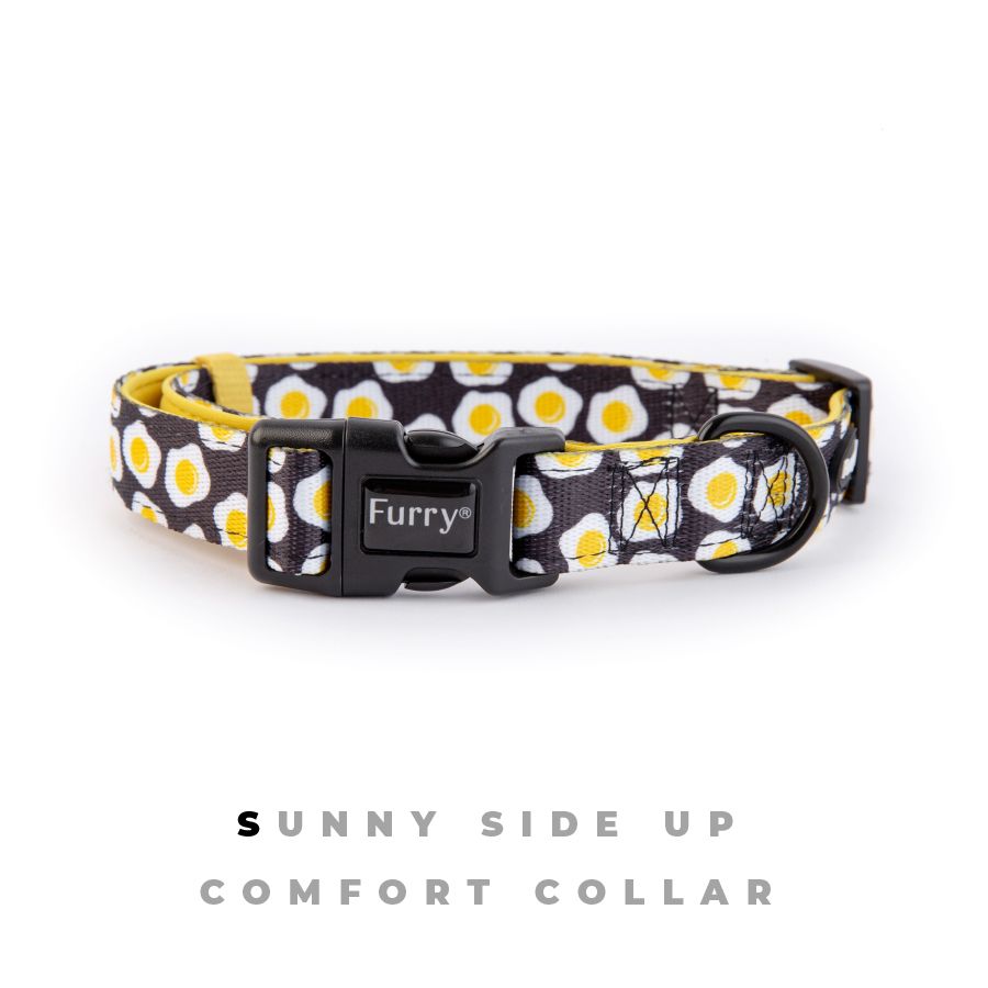  Combo Vòng Cổ , Dây Dắt Và Nơ Sunny Side Up 