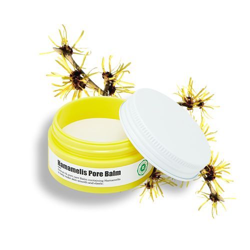 Combo Sữa Dưỡng & Kem Lót A'pieu Hamamelis Pore Balm (5Pc)