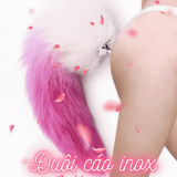  Đuôi cáo đầu inox nút gắn hậu môn kích thích tình dục giá rẻ 