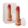 Dương vật giả gắn tường rung xoay nhiệt điều khiển remote