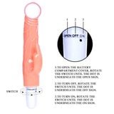  Dương vật giả rung mini size nhỏ cầm tay Baile 1 pin AA giá rẻ 